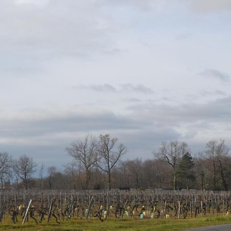 Maison Bertineau Proche Saint-Emilion Neac Bagian luar foto