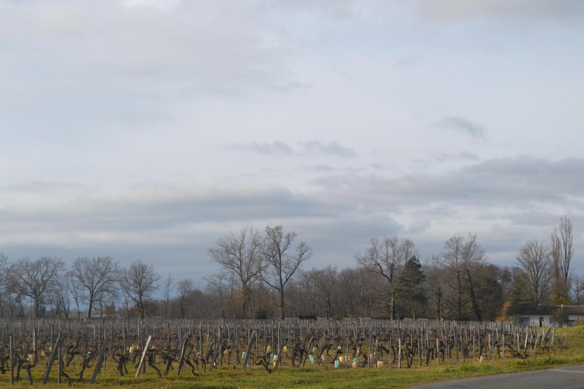 Maison Bertineau Proche Saint-Emilion Neac Bagian luar foto